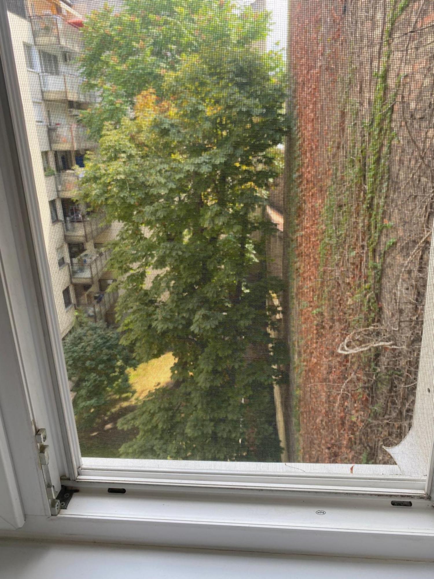 Budapest Oasis One Bedroom For Renting المظهر الخارجي الصورة